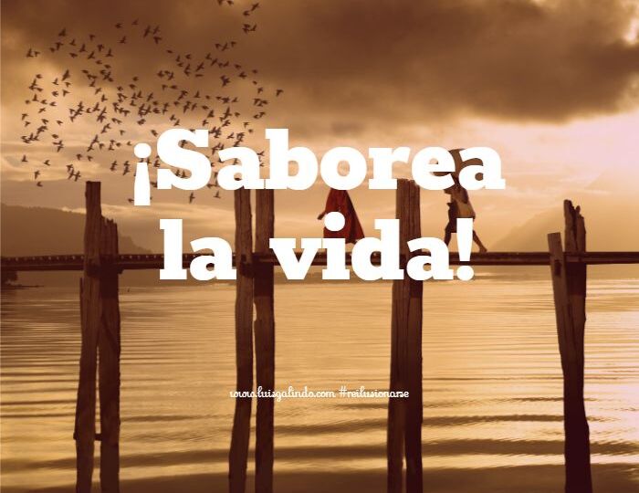 saborea la vida